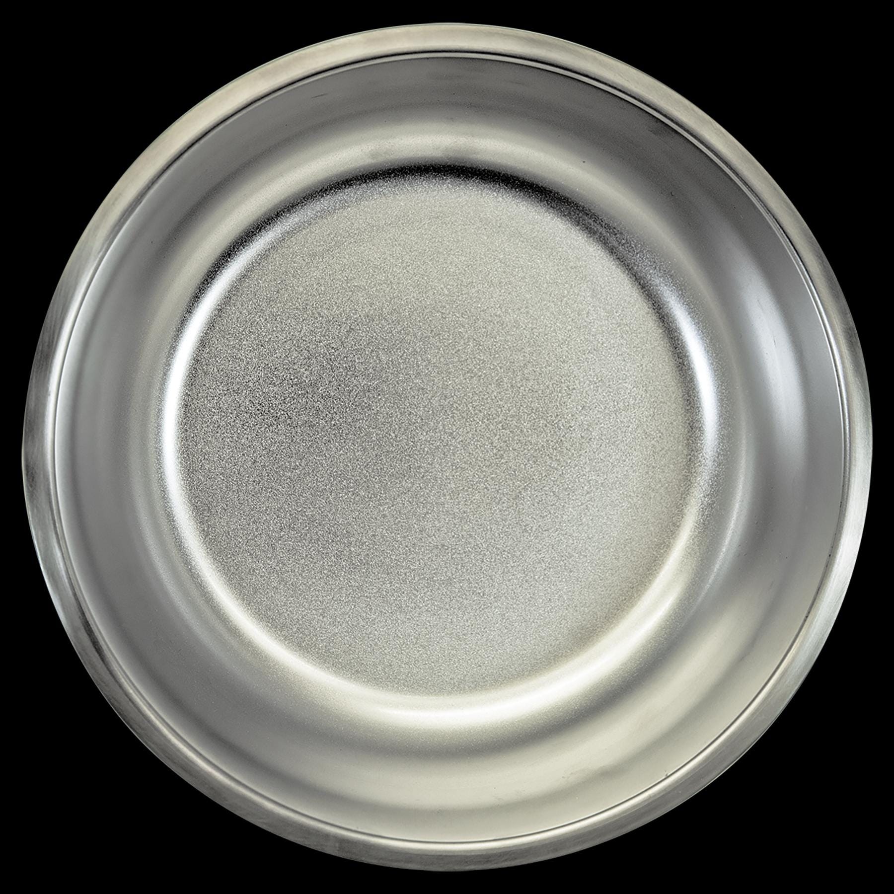 PetEssentials Stainless Steel Engraved Dog Bowl – Double-Walled Design for All Breeds - Nancy’s Custom Creations