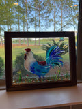 Captivated rooster